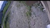 Web Cam Image - Thu, 06/25/2026 7:44am PDT