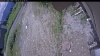 Web Cam Image - Sat, 06/27/2026 10:59am PDT