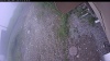 Web Cam Image - Thu, 07/02/2026 6:34am PDT