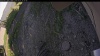 Web Cam Image - Tue, 07/01/2025 12:04pm PDT