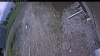 Web Cam Image - Sat, 05/30/2026 11:39am PDT