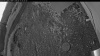 Web Cam Image - Thu, 06/11/2026 2:54am PDT