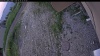 Web Cam Image - Wed, 06/24/2026 7:19pm PDT