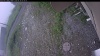 Web Cam Image - Tue, 06/30/2026 3:59am PDT