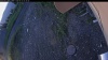 Web Cam Image - Fri, 06/12/2026 4:09am PDT