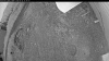 Web Cam Image - Thu, 06/18/2026 8:24pm PDT