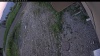 Web Cam Image - Wed, 06/24/2026 7:14pm PDT