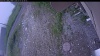 Web Cam Image - Wed, 07/01/2026 4:24am PDT