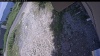Web Cam Image - Tue, 07/07/2026 12:29pm PDT