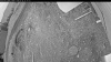 Web Cam Image - Thu, 05/28/2026 8:44pm PDT