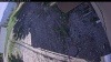 Web Cam Image - Mon, 06/01/2026 4:19pm PDT