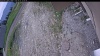 Web Cam Image - Wed, 06/03/2026 11:59am PDT