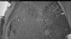 Web Cam Image - Tue, 06/30/2026 3:49am PDT