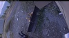 Web Cam Image - Sat, 10/10/2026 4:34pm PDT