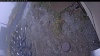Web Cam Image - Mon, 10/20/2025 12:39pm PDT