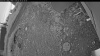 Web Cam Image - Tue, 06/30/2026 3:44am PDT