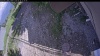 Web Cam Image - Tue, 06/30/2026 3:59pm PDT