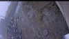 Web Cam Image - Mon, 10/20/2025 12:34pm PDT