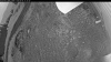 Web Cam Image - Mon, 06/08/2026 7:44pm PDT