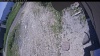 Web Cam Image - Sat, 06/20/2026 11:19am PDT