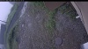 Web Cam Image - Fri, 07/03/2026 6:04am PDT
