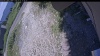 Web Cam Image - Tue, 07/07/2026 12:14pm PDT