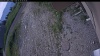 Web Cam Image - Wed, 06/24/2026 7:04am PDT