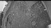 Web Cam Image - Tue, 06/30/2026 3:34am PDT