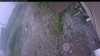 Web Cam Image - Thu, 07/02/2026 6:04am PDT