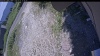 Web Cam Image - Tue, 07/07/2026 12:09pm PDT