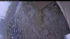 Web Cam Image - Mon, 10/20/2025 12:24pm PDT