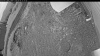 Web Cam Image - Mon, 06/08/2026 7:34pm PDT