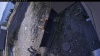 Web Cam Image - Thu, 10/08/2026 12:39pm PDT