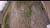 Web Cam Image - Tue, 09/02/2025 11:44am PDT