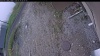 Web Cam Image - Thu, 05/14/2026 8:24am PDT