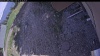 Web Cam Image - Sat, 05/23/2026 3:34pm PDT