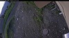 Web Cam Image - Fri, 06/12/2026 3:39am PDT