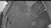 Web Cam Image - Tue, 06/30/2026 3:24am PDT