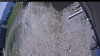 Web Cam Image - Fri, 05/22/2026 11:04am PDT