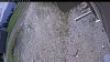 Web Cam Image - Sun, 05/24/2026 10:24am PDT