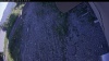 Web Cam Image - Mon, 06/22/2026 4:39pm PDT