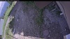 Web Cam Image - Tue, 06/30/2026 3:35pm PDT