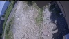 Web Cam Image - Tue, 07/07/2026 11:54am PDT