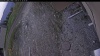 Web Cam Image - Mon, 05/11/2026 6:49pm PDT