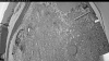 Web Cam Image - Tue, 05/26/2026 4:44am PDT