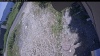 Web Cam Image - Tue, 07/07/2026 11:49am PDT