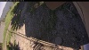 Web Cam Image - Tue, 07/01/2025 11:14am PDT