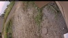 Web Cam Image - Tue, 09/02/2025 11:29am PDT