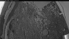 Web Cam Image - Fri, 06/12/2026 3:24am PDT