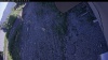 Web Cam Image - Mon, 06/22/2026 4:29pm PDT